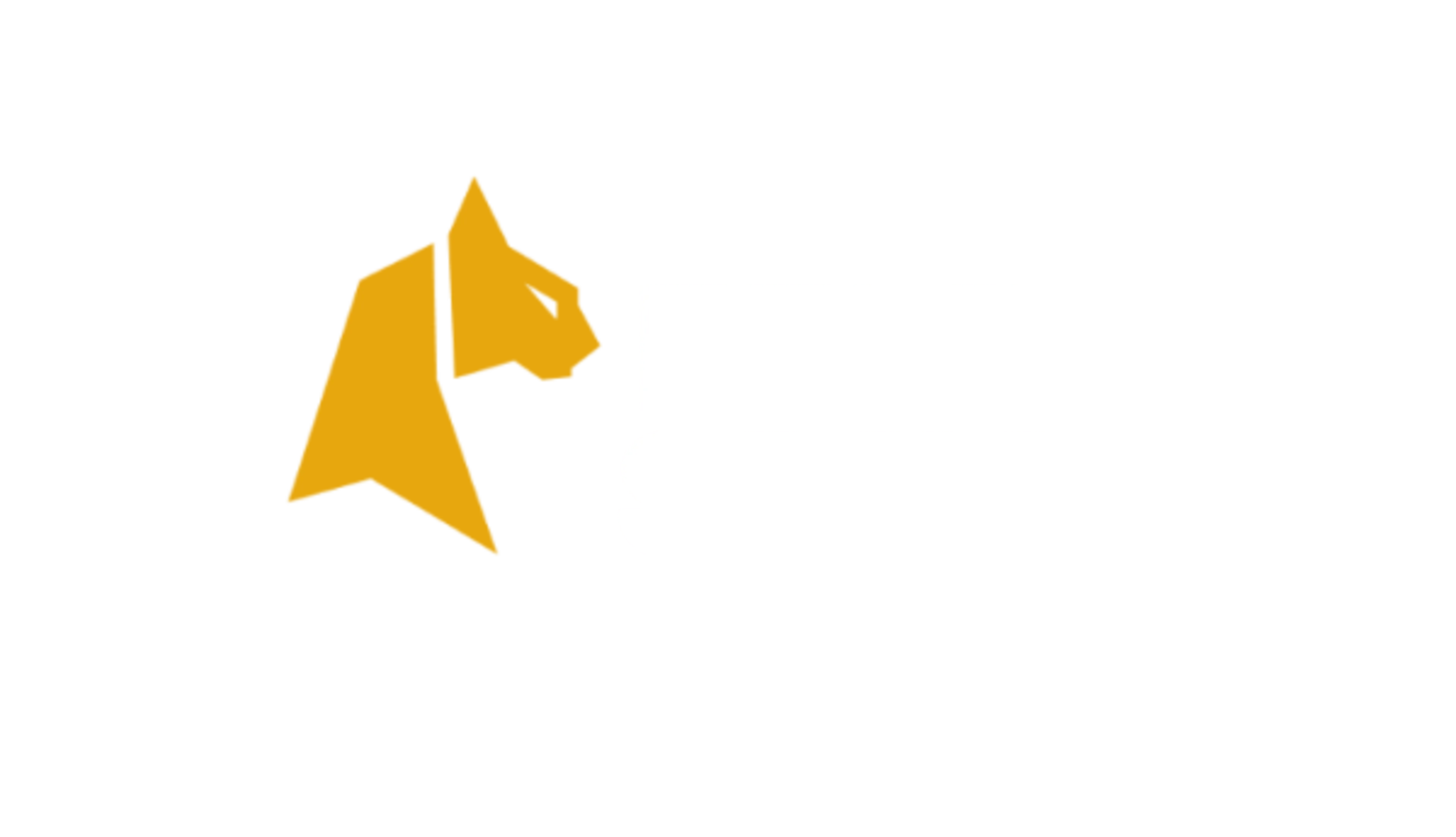 felixspin-logo-es